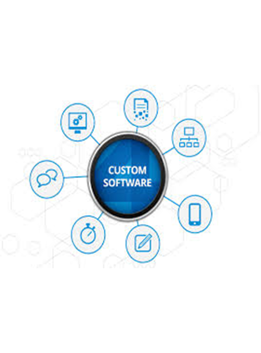 Why custom software Service