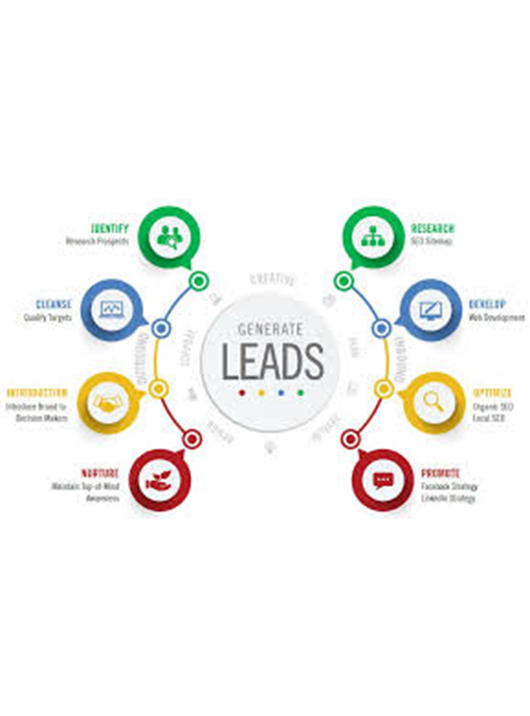 Why lead management Service