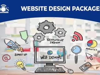 Website Designs Packages