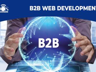 B2B Portal Development