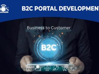 B2C Portal Development