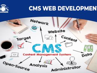 CMS Web Development