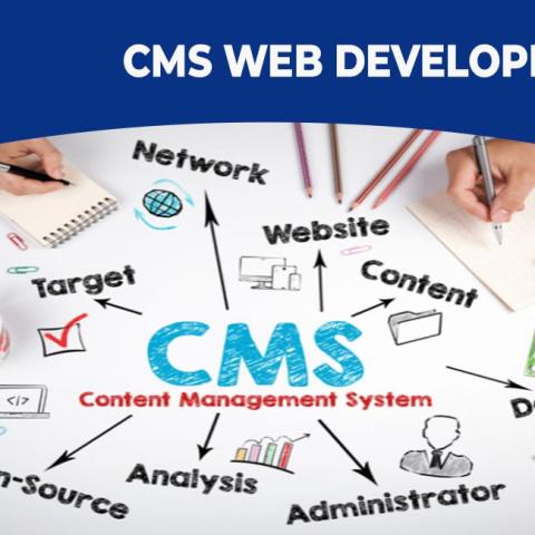 Building Better CMS: A Developer's Guide