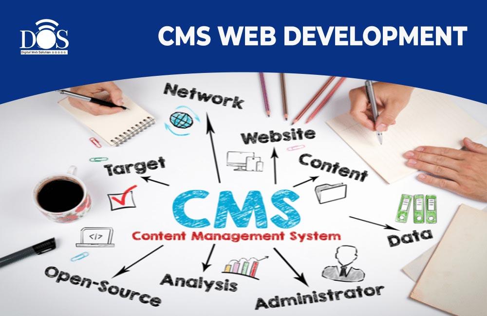 CMS Web Development In Ghaziabad