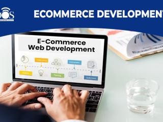 Ecommerce Web Development