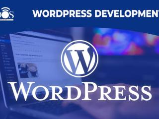 WordPress development